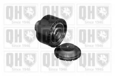 Натяжной ролик QH QUINTON HAZELL QTA1142