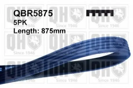 Ремень клиновый QH QUINTON HAZELL QBR5875