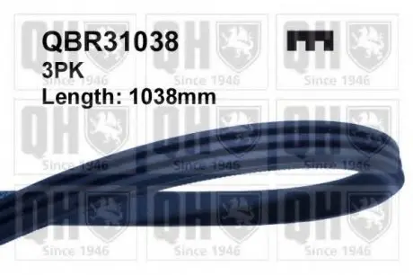 Ремінь клиновий QH QUINTON HAZELL QBR31038