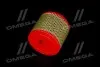 Воздушный фильтр -FILTER MANN C1131 (фото 4)