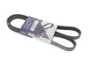 Ремень клиновый HUTCHINSON 1300 K 5 1300K5