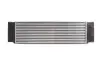Радиатор охлаждения воздуха THERMOTEC DAM006TT