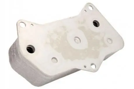 Масляный радиатор THERMOTEC D4W007TT