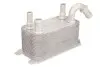 Масляный радиатор THERMOTEC D4V001TT