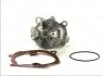 Водяний насос THERMOTEC D1X045TT (фото 1)
