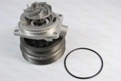 Водяной насос THERMOTEC D1F070TT