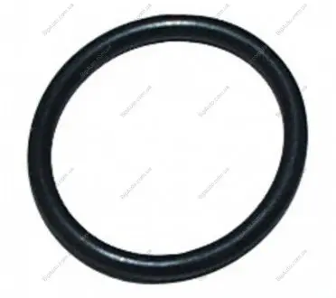 Прокладка маслозливної пробки Astra F/G/H/J/Vectra B (18мм) JP GROUP 1213850300