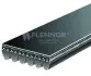 Ремінь клиновий FLENNOR 6PK2193