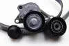 Комплект пасу поліклинового RENAULT 7701477344 (фото 2)