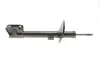 Амортизатор підвіски задній Duster4х4 (газ, олія) 30950, 315361, 316290, 338738,, 562105300R, 8200811407, AG09504, G7386, RENAULT 562103964R (фото 4)