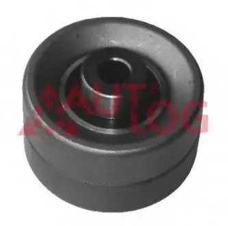 Ролик направляючий ГРМ 2.0i 16V Scudo/Expert 00-/Citroen C4 05-/C5 01- AUTLOG RT1385