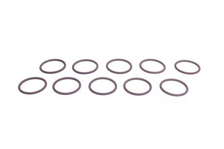 Уплотнительное кольцо насос-форсунки E1/E3 (к-т 10шт).) Delphi 72000053 (фото 1)