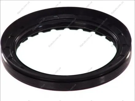 Уплотнительное кольцо ELRING 522910 (фото 1)