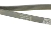 Ремень поликлиновой DAYCO 6PK1360S (фото 3)
