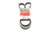 Ремінь генератора клиновий GATES 7PK1473