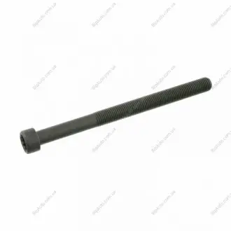 Болт головки цилиндра FEBI FEBI BILSTEIN 26424
