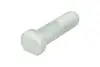 Болт кріплення колеса FEBI BILSTEIN 02666