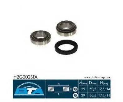 Комплект подшипника ступицы колеса BTA H2G002BTA