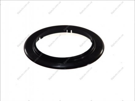 Вращающееся кольцо, ступица колеса BPW 0256819800 (фото 1)