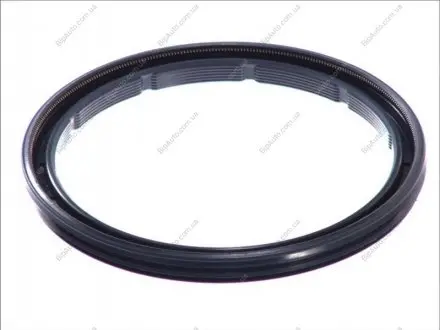 Уплотнительное кольцо BPW 0256645700