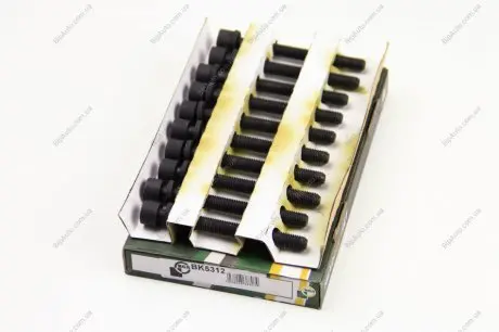 Болти головки блоку Caddy II/Octavia/Golf III/Polo 1.4/1.6i 91-99 (к-кт) BGA BK5312