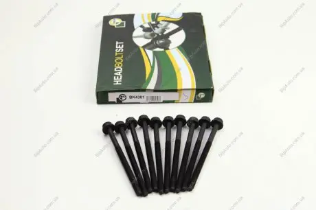 Болти головки блоку VW Caddy II/Golf IV/V 1.4/1.6i 96- (10шт.) BGA BK4301