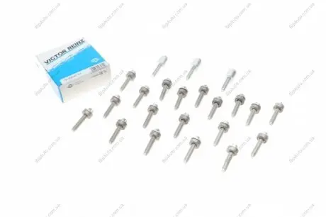 К-кт болтів головки BMW 1/3/5 2,5 3,0B 05-12 VICTOR REINZ 153964701