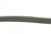 Поликлиновой ременный комплект Contitech 6PK1070K1 (фото 2)