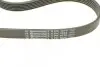 Поликлиновой ременный комплект Contitech 6PK1070K1 (фото 3)