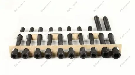 Болти головки блоку Elantra/Tucson 1.6-2.0 i 00-10/Cerato/Sportage 2.0 i 04- AJUSA 81020800