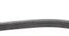 Комплект пасу поліклинового Audi A3/Seat Leon/Sko CONTINENTAL Contitech 6DPK1195K1 (фото 2)