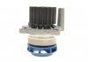 Водяний насос + комплект зубчатого ременя SKF VKMC 01250-1 (фото 6)