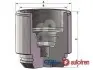 Поршень AUTOFREN SEINSA D025691