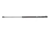 Амортизатор кришки багажника Audi A6 97-05 (GS0237) MAGNETI MARELLI 430719023700