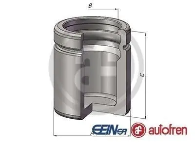 Поршень суппорта SEINSA AUTOFREN D025600