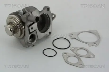 Клапан 8813 28019 TRISCAN 881328019