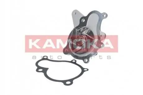 Помпа води KAMOKA T0160