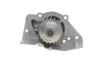 Комплект ГРМ + помпа Citroen Jumper/Jumpy/Berlingo 1.9D/TD 94-02 VKMC 03241-2 SKF VKMC032412 (фото 6)