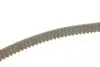 Водяний насос + комплект зубчатого ременя VKMC 05193 SKF VKMC05193 (фото 3)