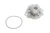 Комплект ГРМ + помпа Opel Astra/Fiat Grande Punto 1.9CDTI 04- VKMC 05194 SKF VKMC05194 (фото 14)