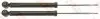Амортизатор JGT1026T TRW