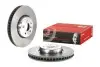 Тормозной диск двухсекционный 09.D095.13 BREMBO 09D09513 (фото 2)