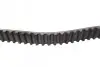 Комплект ГРМ + помпа Citroen Jumpy/Peugeot Expert 2.0HDi/Fiat Scudo 2.0 JTD 99-06 (25x144z) CONTINENTAL Contitech CT1063WP1 (фото 2)