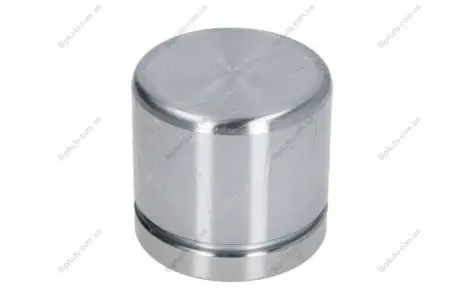 Поршенек суппорта SEINSA AUTOFREN D025491