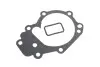 Помпа води Renault Twingo II 1.2 (CNOD) 07-14, 43kw, D7F 800 538 0381 10 INA 538038110 (фото 4)