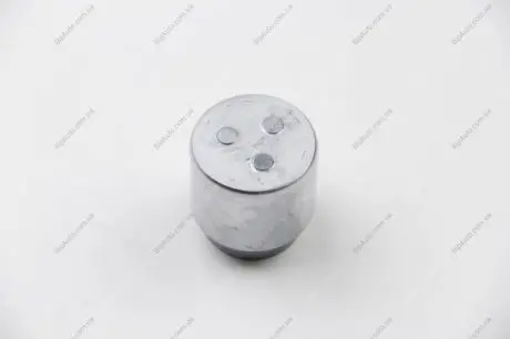 Поршень тормозного суппорта D0 25269 (SEIN) AUTOFREN D025269