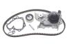 Комплект ГРМ + помпа Renault Kangoo 1.4/1.6i 97- (17x96z) (DP026) DAYCO KTBWP2590