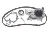 Комплект ГРМ + помпа Renault Kangoo 1.4/1.6i 97- (17x96z) (DP026) DAYCO KTBWP2590