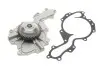 Помпа води Opel Signum/Vectra 3.0 CDTI 03-08 538 0304 10 INA 538030410 (фото 2)