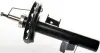 Амортизатор Denckermann DSB260G (фото 1)
